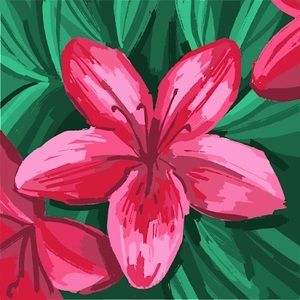 Meet your Posher, Hailey